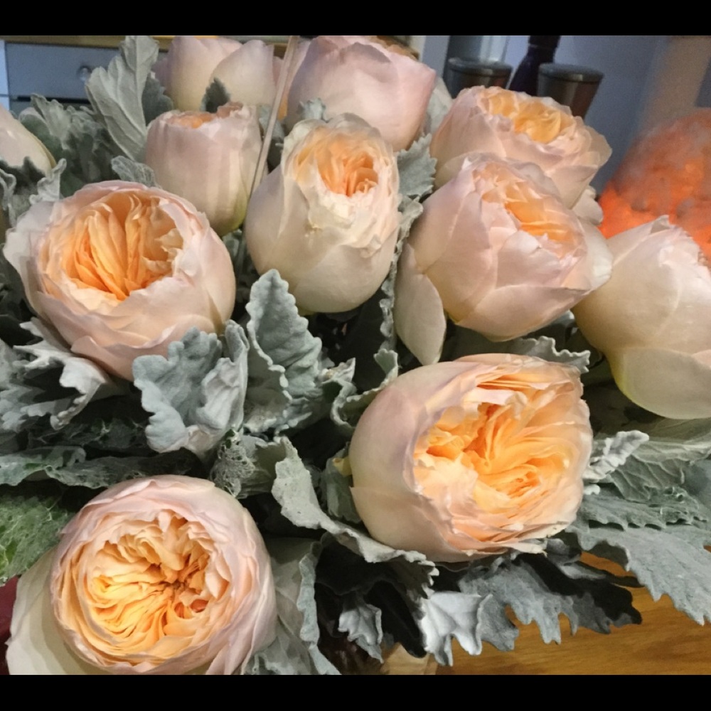 Meet the Posher - Picture 8 of 8